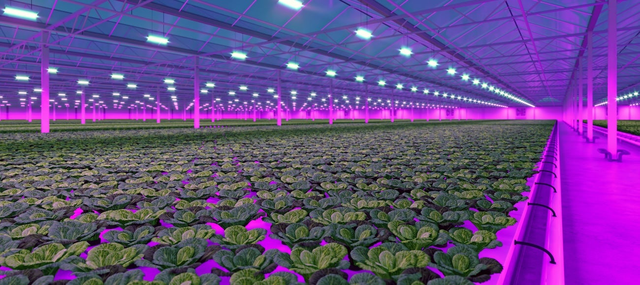 woman holding package