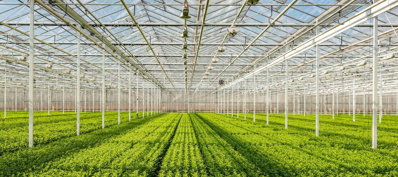 woman holding package