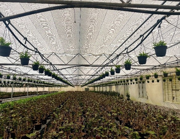 Altman Specialty Plants Case Study